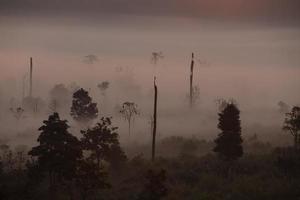 montaña de niebla en la salida del sol temprano en la mañana foto