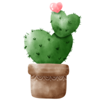 cactus dell'acquerello in vaso png