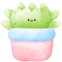 cactus acuarela en maceta png