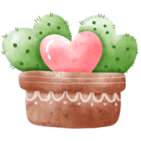 cactus acuarela en maceta png