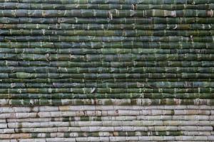 Pattern of Nipa palm photo