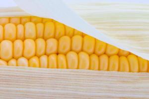 granos de maíz maduro imagen macro foto