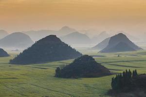 campo de flores de colza amarilla con la niebla en luoping, china foto