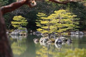 jardín japonés en el famoso kinkakuji foto