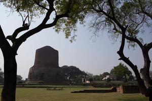 Dhamekh Stupa and ruins in Sarnath, India photo