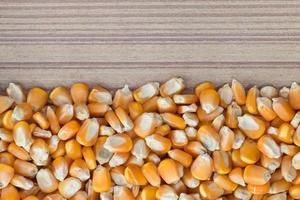 Dried raw corn kernels border on wood background photo