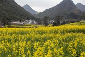 Spring fresh landscape of colorful fields, sunrise sky and beautiful hills valley photo