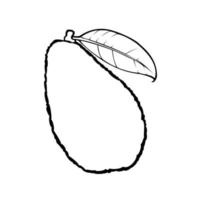 Monochrome picture, ripe avocado fruit with leaves, vector illustration on a white background