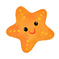 Starfish Watercolor Style png