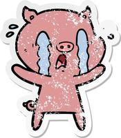 distressed sticker of a crying pig cartoon vector