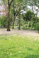 Pathway through a Beautiful Public Park photo