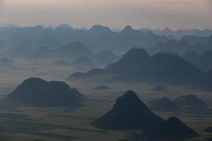 campo de flores de colza amarilla en luoping, china foto