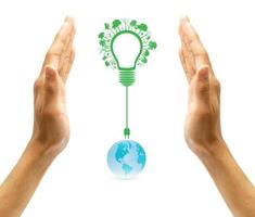 green eco energy concept, plant growing on light bulb