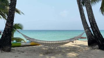 Hammock and palm trees on the beach. video