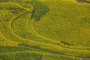 Spring fresh landscape of colorful fields, sunrise sky and beautiful hills valley photo