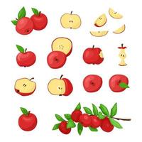 Set of red apples elements. Vector clipart illustration