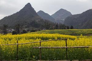 Spring fresh landscape of colorful fields, sunrise sky and beautiful hills valley photo