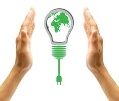 green eco energy concept, plant growing on light bulb