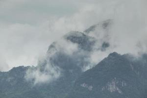 hermoso paisaje de montaña, bosque y niebla. foto