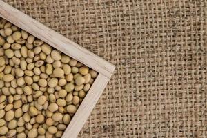 soy bean on the sacks background. photo