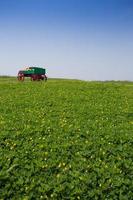 wagon full of pumpkins in farm photo