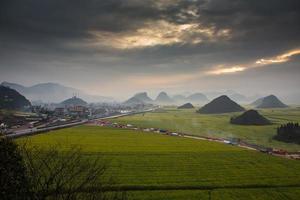 campo de flores de colza amarilla con la niebla en luoping, china foto