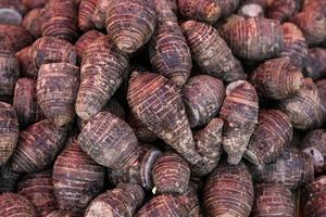 pile of taro for retail sale in local market. background of fresh taro. photo