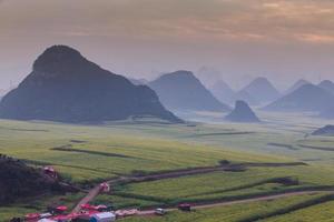 Yellow rapeseed flower field with the mist in Luoping, China photo