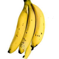 banana png with clipping path and full depth of field.