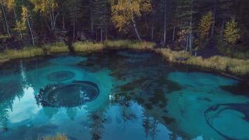 herbstwald und geysirsee mit klarem blauem wasser nahe dem dorf aktash im altai-gebirge, russland video