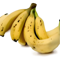 banana png com traçado de recorte e profundidade de campo total.