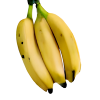 banana png with clipping path and full depth of field.