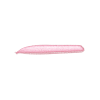 coup de pinceau de paillettes d'or rose png