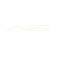 goldene Glitzerlinie png