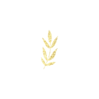 Gold Plant Glitter png