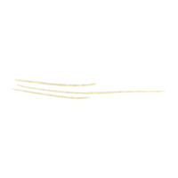 Gold Glitter Line png
