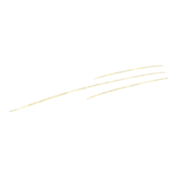 goldene Glitzerlinie png