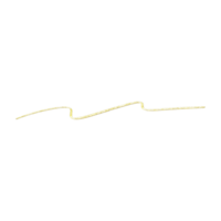 Gold Glitter Line png