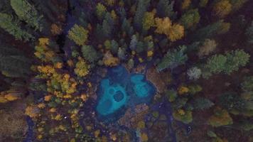 herfstbos en geisermeer met helder blauw water bij het dorp aktash in het altai-gebergte, rusland video