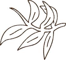 Leaves Charcoal Drawing vector