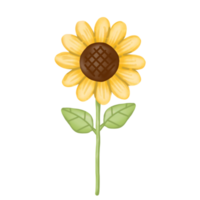 akvarell blomma, trädgård clipart. png