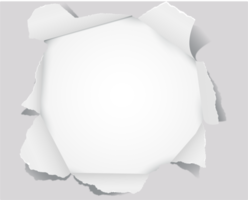 Torn paper in various shapes. png