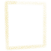 vierkante frames in luipaardkleur. png