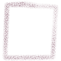 square frames in leopard color. png