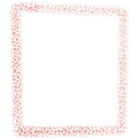 square frames in leopard color. png