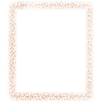 cadres carrés de couleur léopard. png