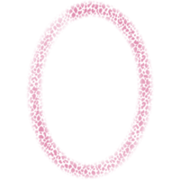 Oval frames in leopard color. png