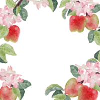 marco de flor y fruta de manzana acuarela png