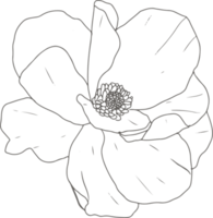 elementos de flor de peônia de arte de linha doodle png