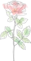 elementos de ramo de flores de rosa de arte de línea de doodle de acuarela suelta png